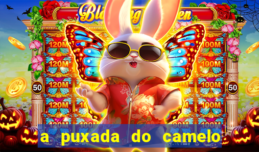 a puxada do camelo no jogo do bicho